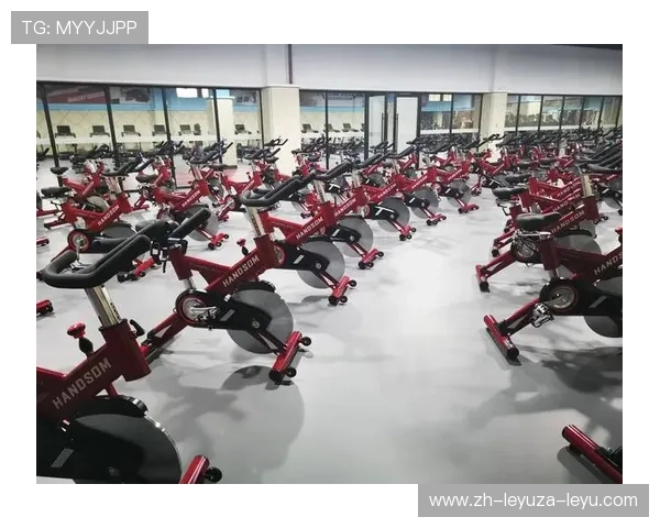 高端健身器材选购指南：设计、功能与品牌全面比较